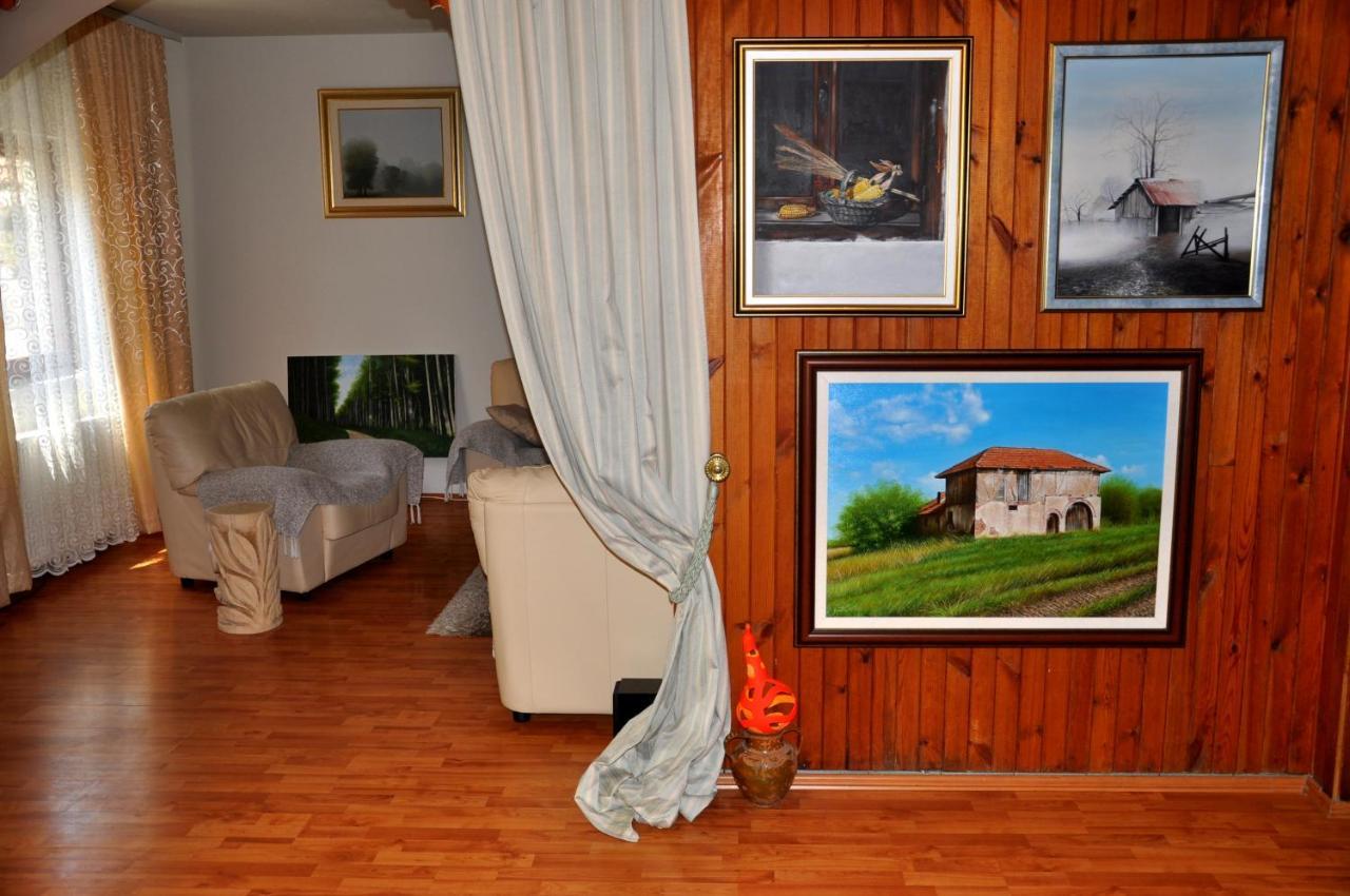 Guesthouse Djuric 네고틴 외부 사진
